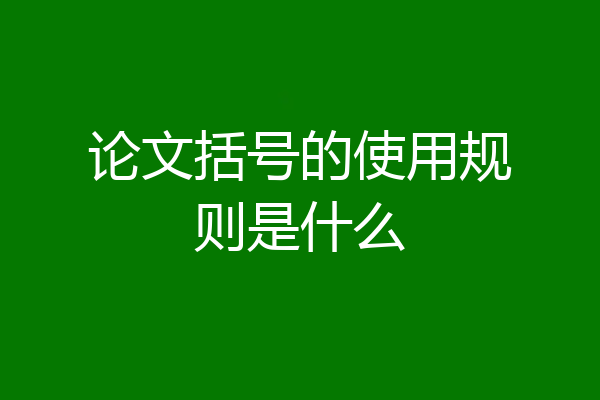 论文括号的使用规则是什么