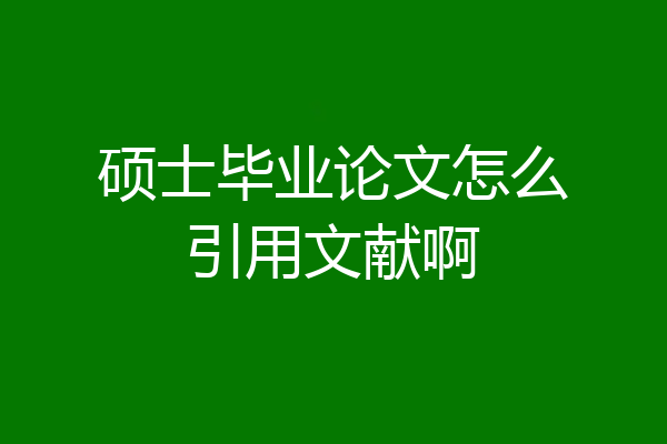 硕士毕业论文怎么引用文献啊