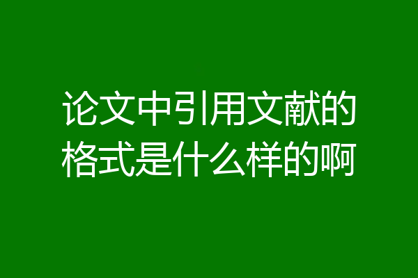论文中引用文献的格式是什么样的啊