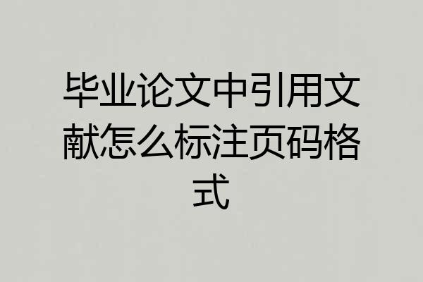 毕业论文中引用文献怎么标注页码格式