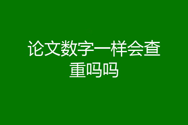 论文数字一样会查重吗吗