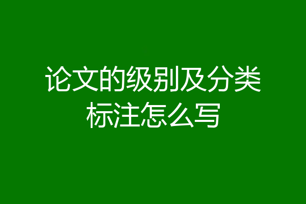 论文的级别及分类标注怎么写
