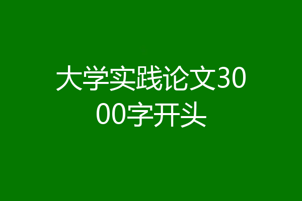 大学实践论文3000字开头