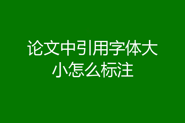 论文中引用字体大小怎么标注
