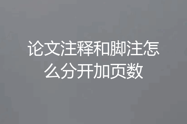论文注释和脚注怎么分开加页数