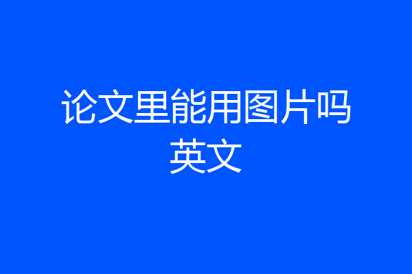 论文里能用图片吗英文
