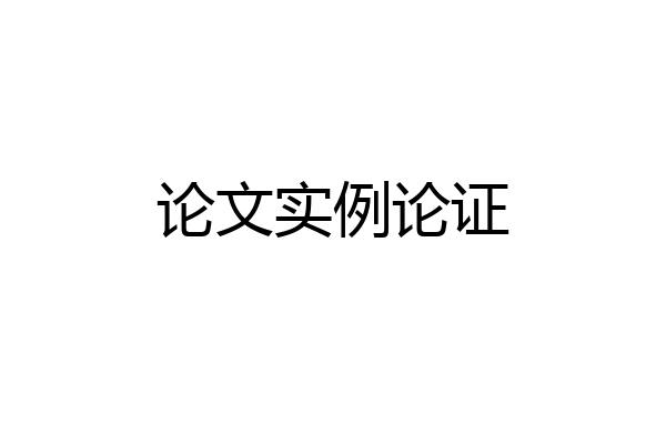 论文实例论证