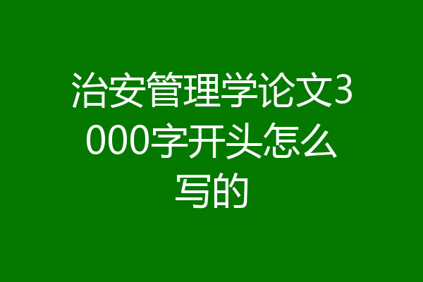 治安管理学论文3000字开头怎么写的