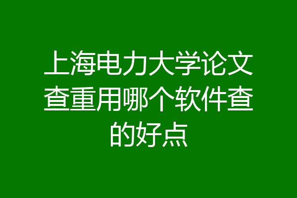 上海电力大学论文查重用哪个软件查的好点