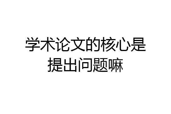 学术论文的核心是提出问题嘛