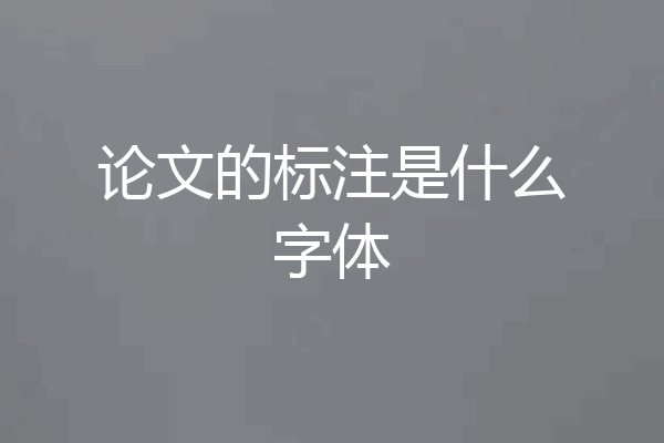 论文的标注是什么字体