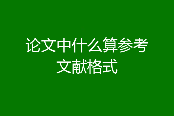 论文中什么算参考文献格式