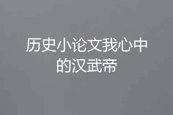 历史小论文我心中的汉武帝