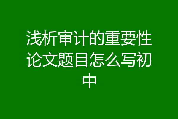 浅析审计的重要性论文题目怎么写初中