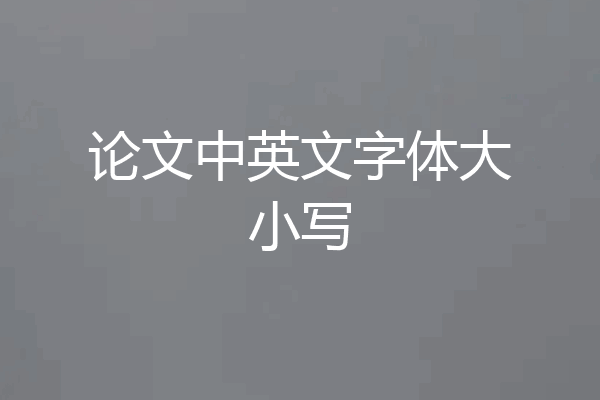 论文中英文字体大小写