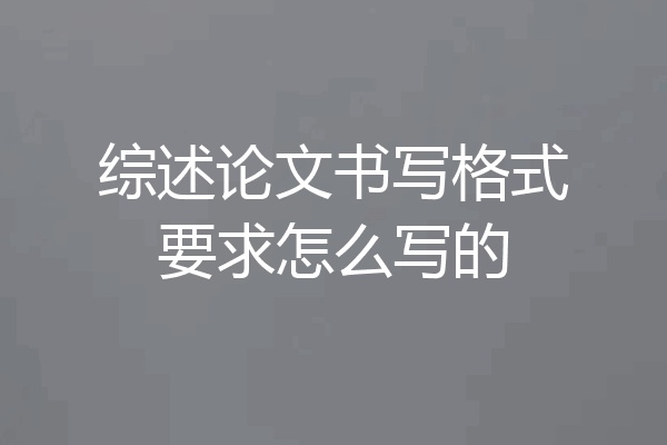 综述论文书写格式要求怎么写的