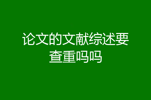 论文的文献综述要查重吗吗