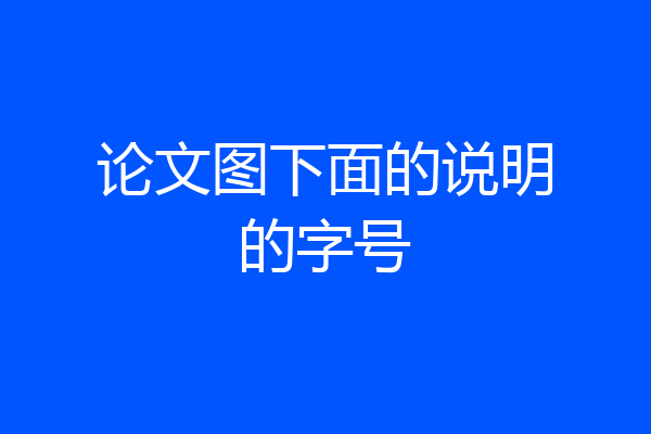 论文图下面的说明的字号