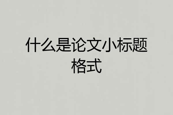 什么是论文小标题格式
