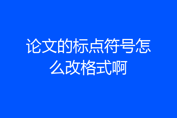 论文的标点符号怎么改格式啊