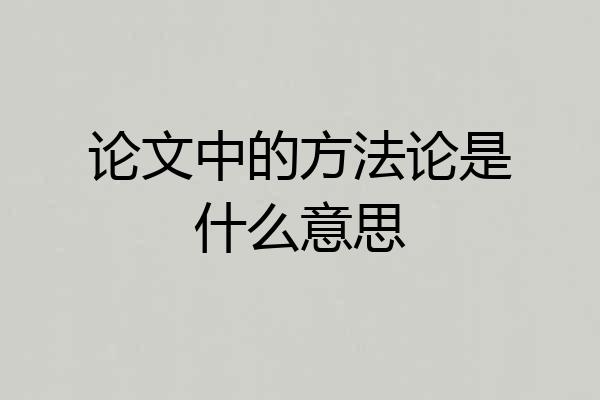 论文中的方法论是什么意思