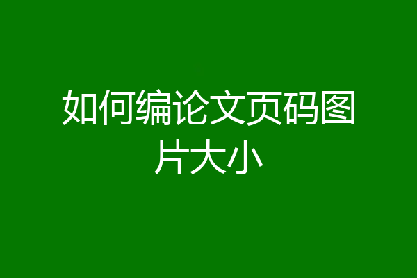 如何编论文页码图片大小