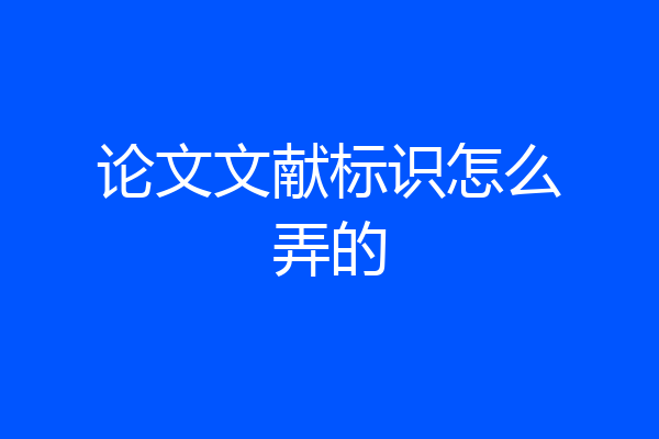 论文文献标识怎么弄的