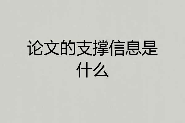 论文的支撑信息是什么