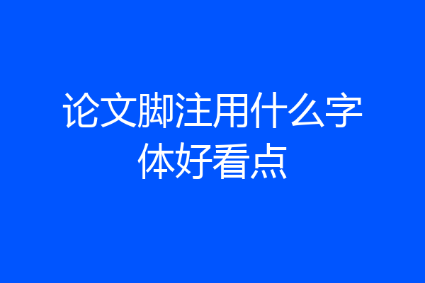 论文脚注用什么字体好看点