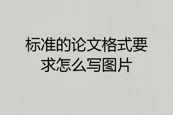 标准的论文格式要求怎么写图片
