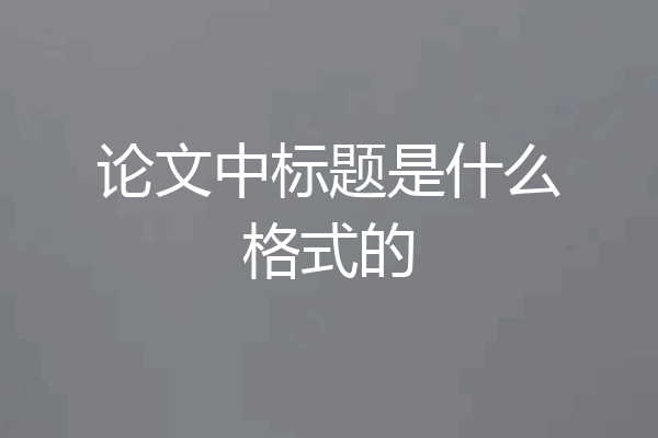 论文中标题是什么格式的