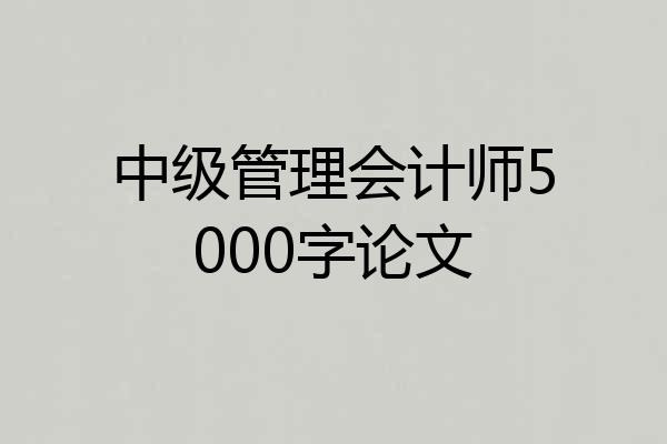 中级管理会计师5000字论文
