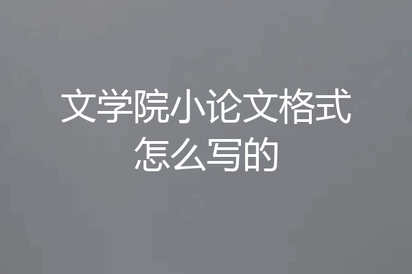 文学院小论文格式怎么写的