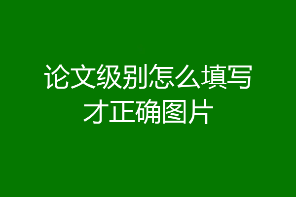 论文级别怎么填写才正确图片