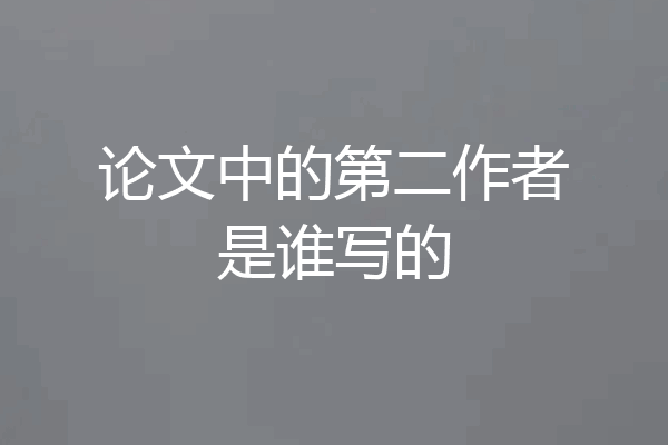 论文中的第二作者是谁写的