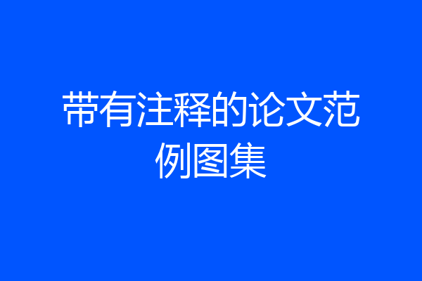 带有注释的论文范例图集