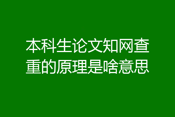 本科生论文知网查重的原理是啥意思