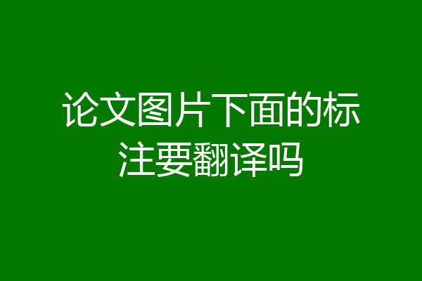 论文图片下面的标注要翻译吗