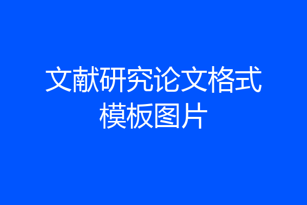 文献研究论文格式模板图片