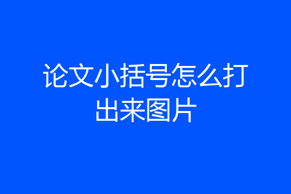 论文小括号怎么打出来图片