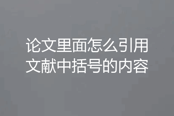 论文里面怎么引用文献中括号的内容