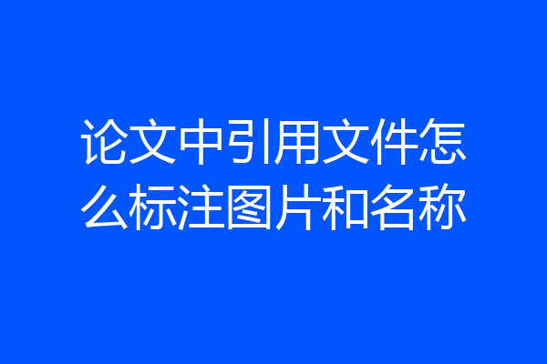 论文中引用文件怎么标注图片和名称