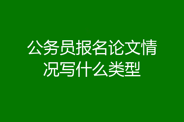 公务员报名论文情况写什么类型