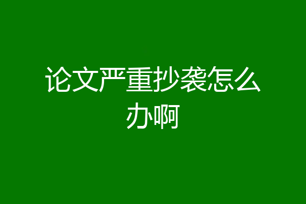 论文严重抄袭怎么办啊