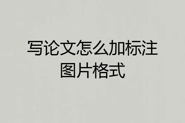 写论文怎么加标注图片格式