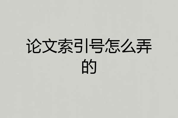 论文索引号怎么弄的