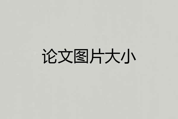 论文图片大小