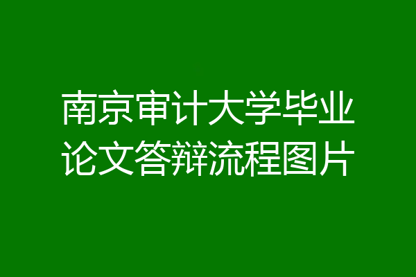 南京审计大学毕业论文答辩流程图片