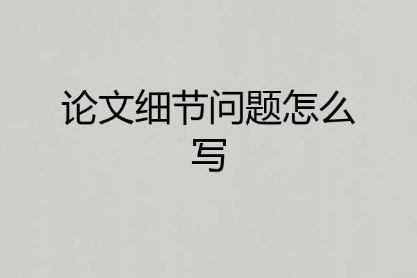 论文细节问题怎么写