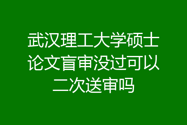 武汉理工大学硕士论文盲审没过可以二次送审吗